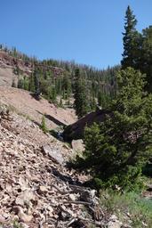 The north fork stream [sun jul 4 10:13:27 mdt 2021]